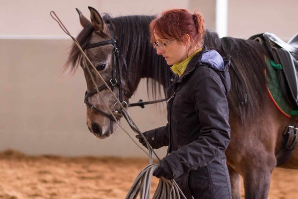 Quels sont les meilleurs parcours pour une randonnée équestre en Mongolie ?